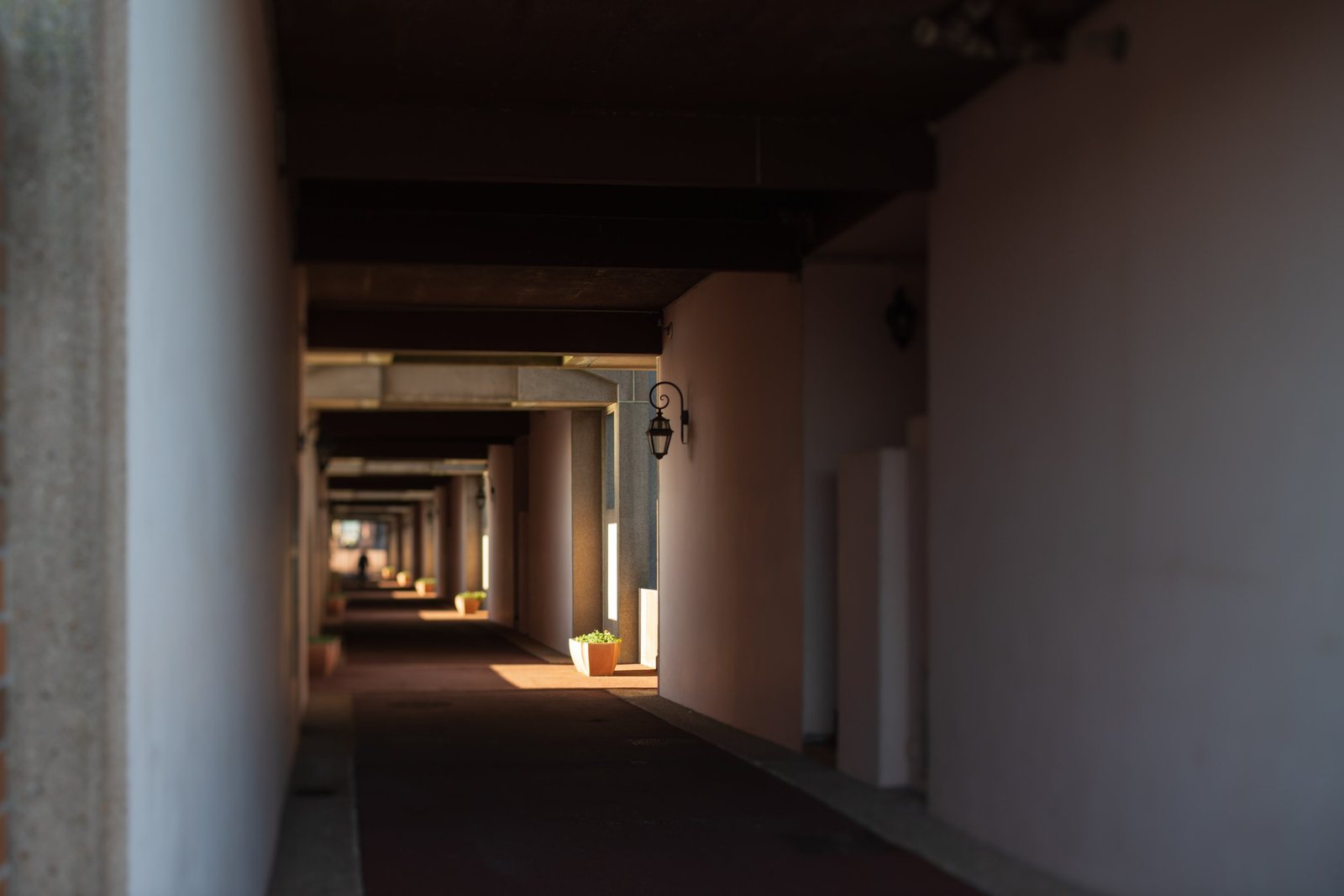Photograph from Urban Lines