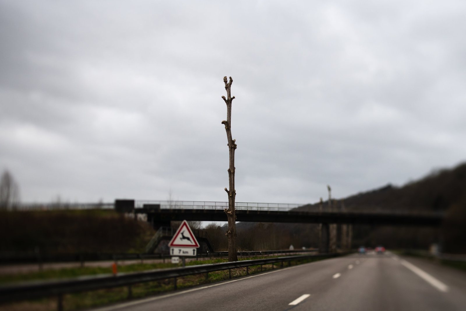 Photograph from Roadtrip Normandie