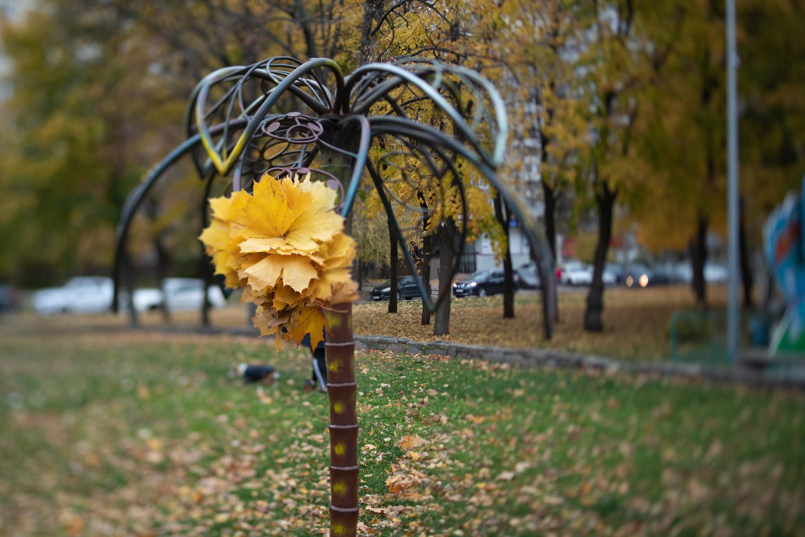 Photograph from Dnipro in details