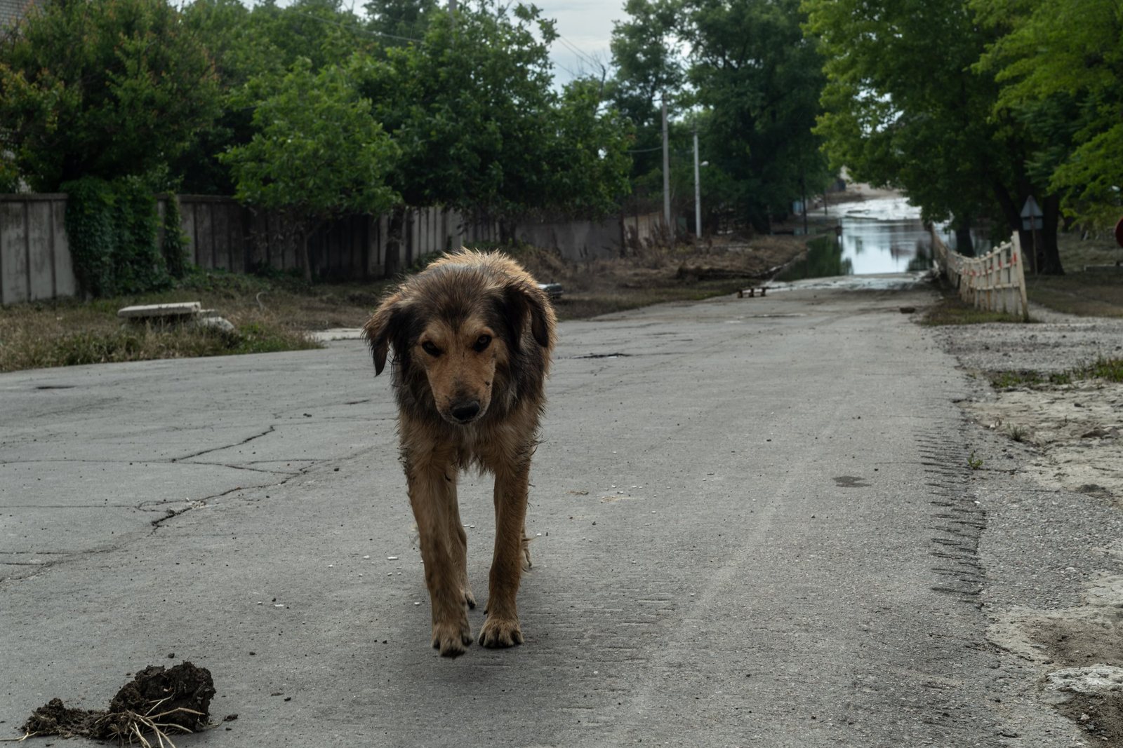 Photograph from Kherson, 2023